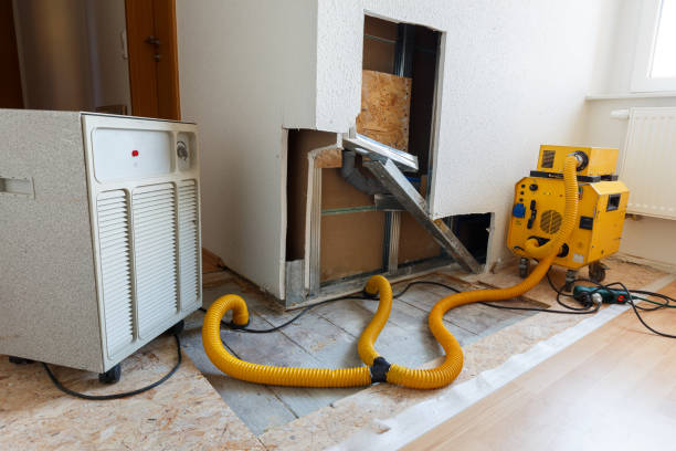 Forensic Mold Investigation in Slaughterville, OK